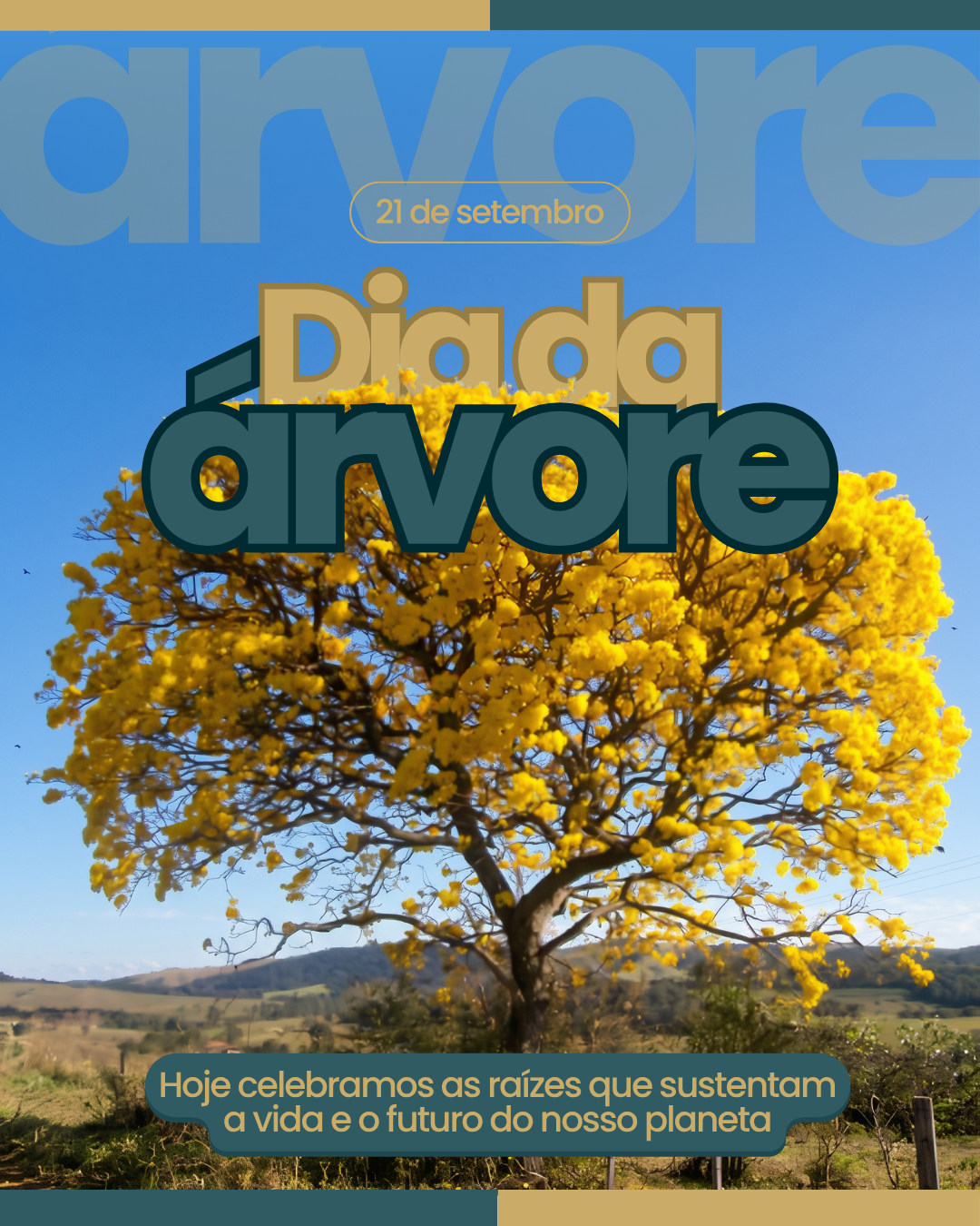 Dia da Árvore: um compromisso com a preservação ambiental