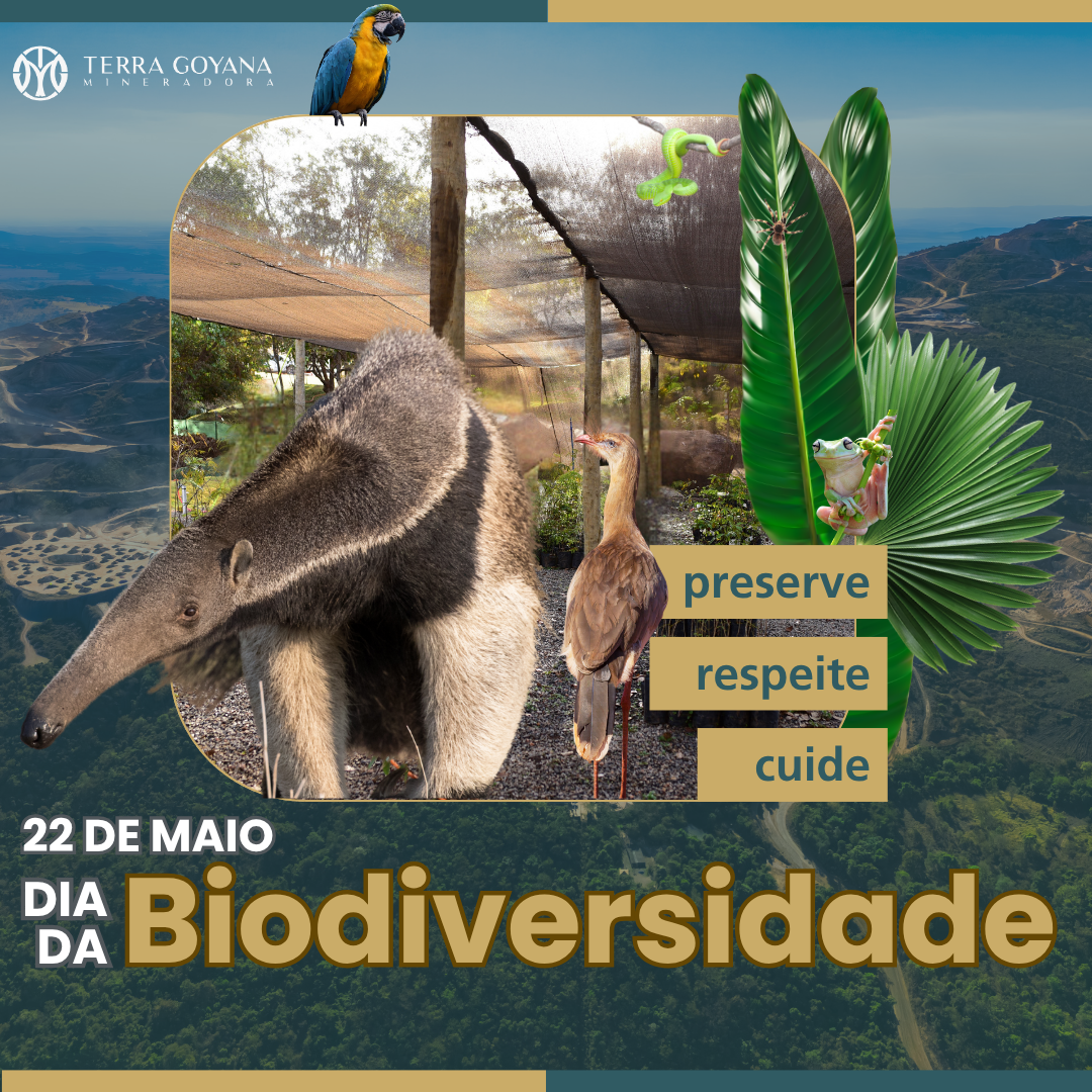 Dia da Biodiversidade 