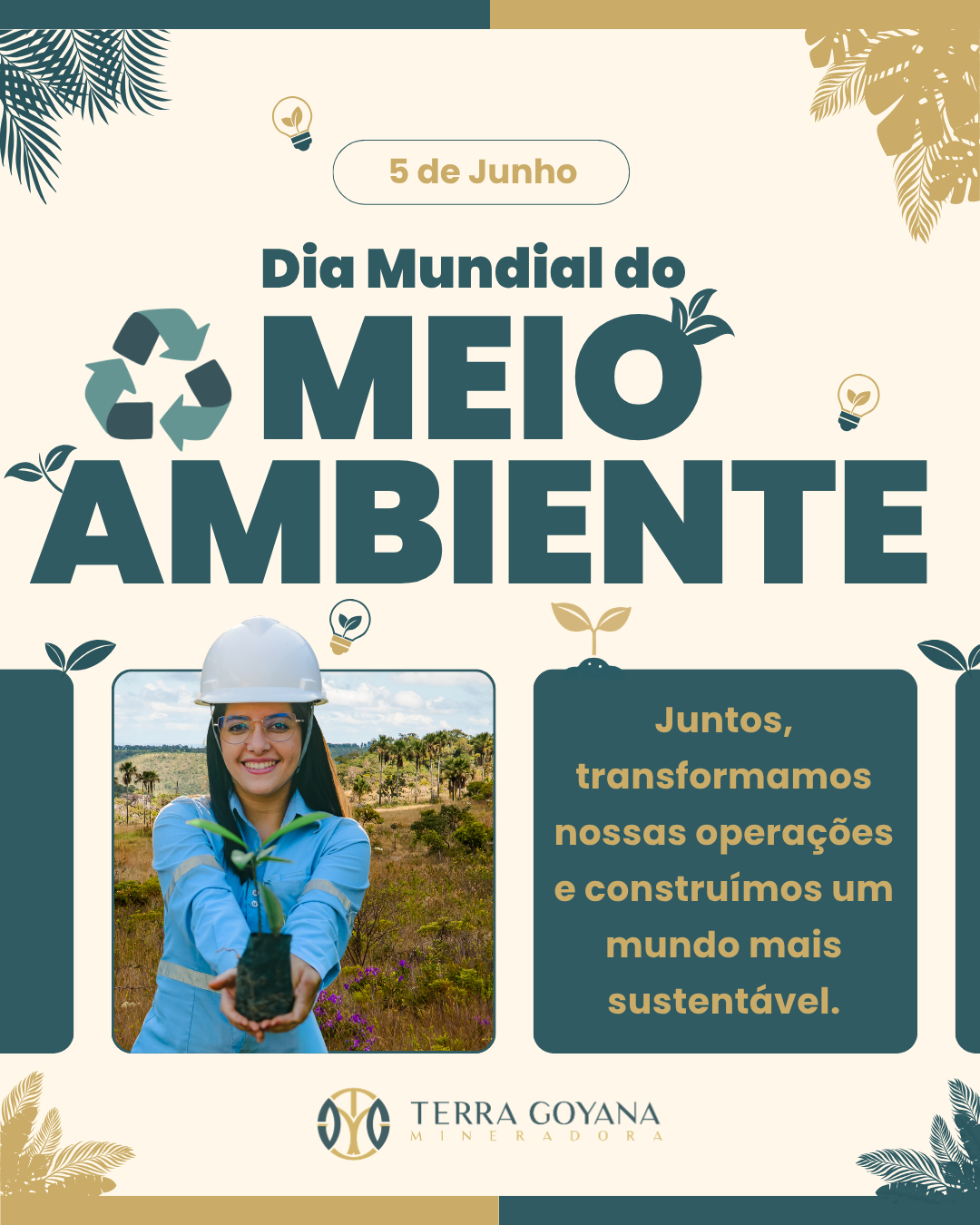 05 Dia Mundial do Meio Ambiente